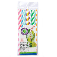 Bendable Paper Straws (Set of 25)