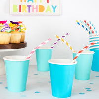 Bendable Paper Straws (Set of 25)