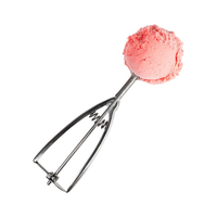 Ice Cream Scoop